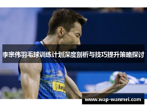 李宗伟羽毛球训练计划深度剖析与技巧提升策略探讨