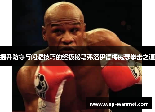 提升防守与闪避技巧的终极秘籍弗洛伊德梅威瑟拳击之道