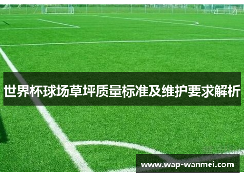 世界杯球场草坪质量标准及维护要求解析