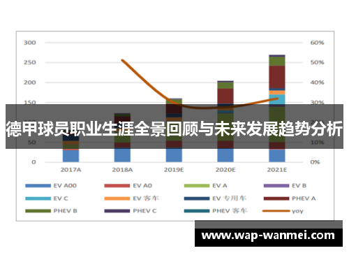 德甲球员职业生涯全景回顾与未来发展趋势分析