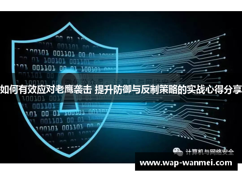如何有效应对老鹰袭击 提升防御与反制策略的实战心得分享