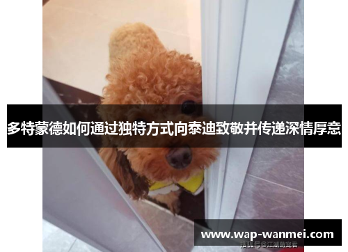 多特蒙德如何通过独特方式向泰迪致敬并传递深情厚意