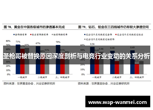 圣枪哥被替换原因深度剖析与电竞行业变动的关系分析